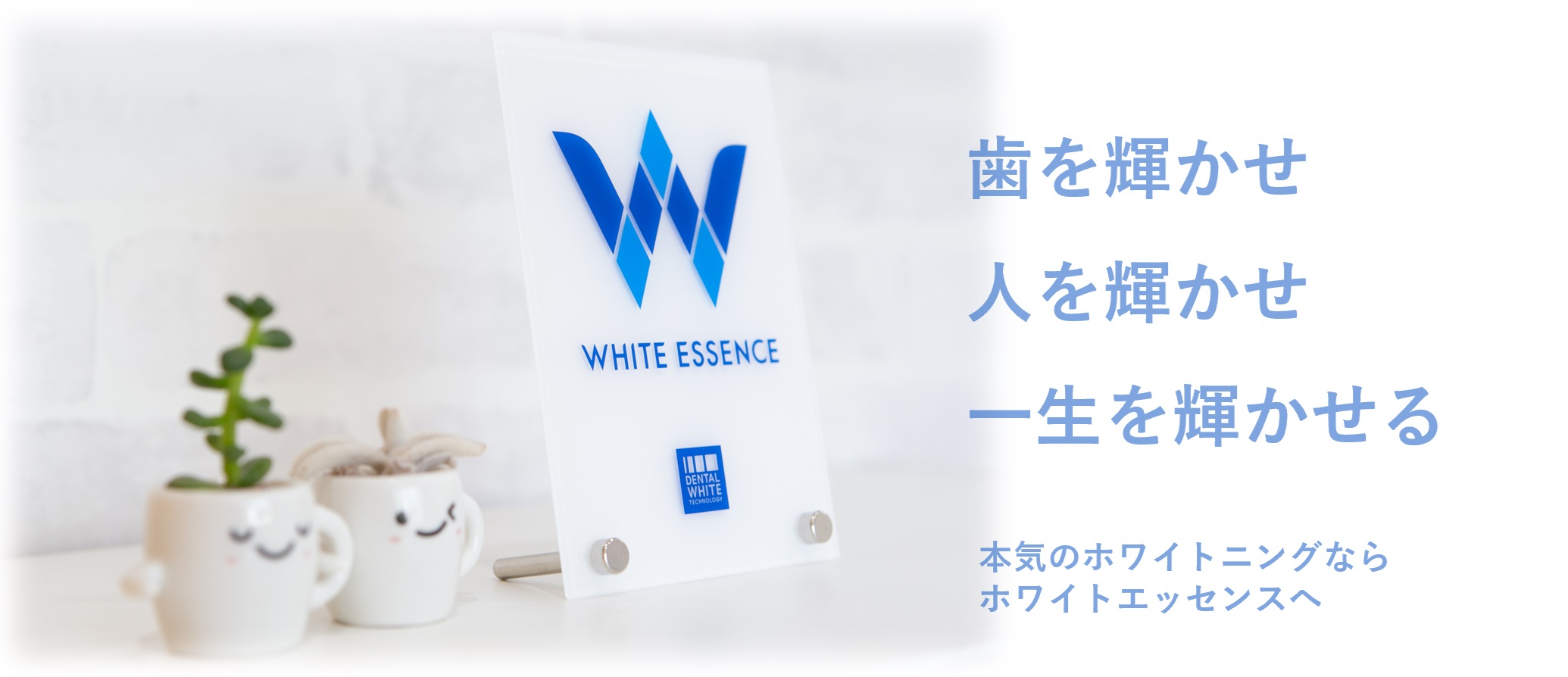 バナートップ画像